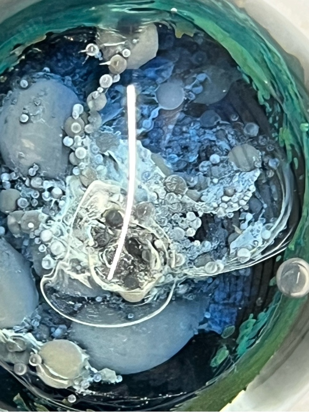 Abstract Handblown Glass Paperweight Underwater 1984 Milropa Signed by Eros